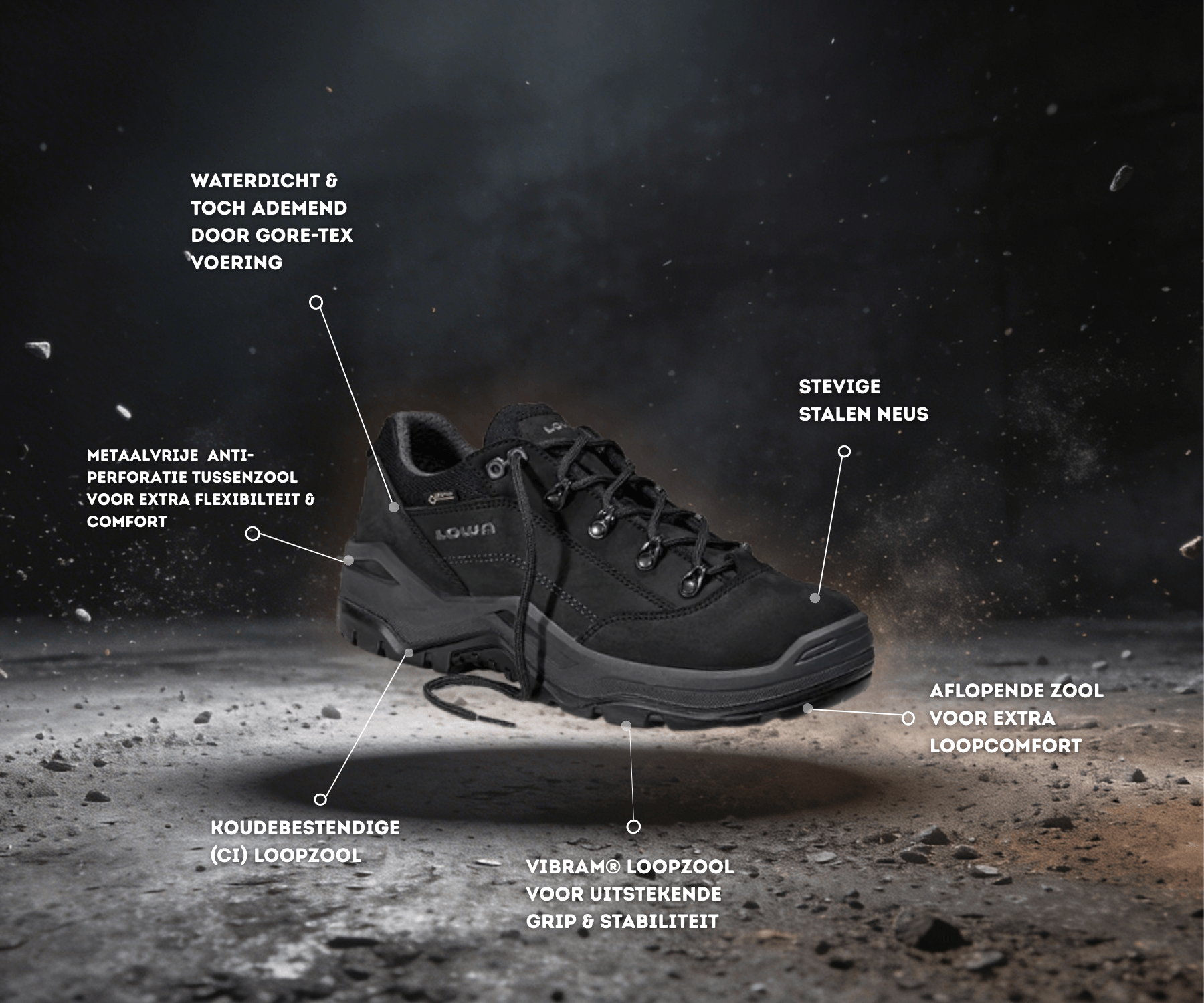 Lowa Renegade Work low black specifications