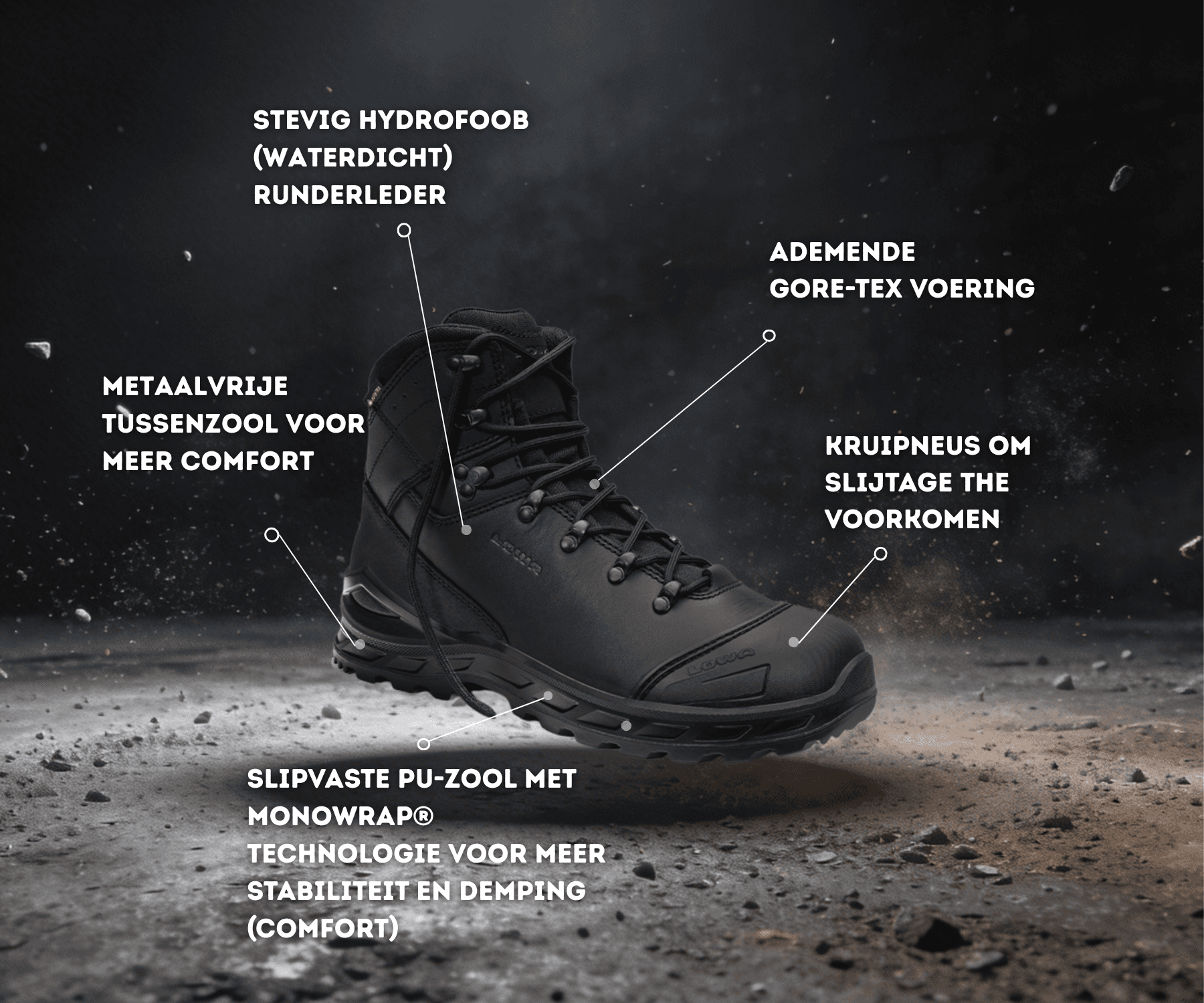 Spezifikationsblatt von Lowa Leandro hoch