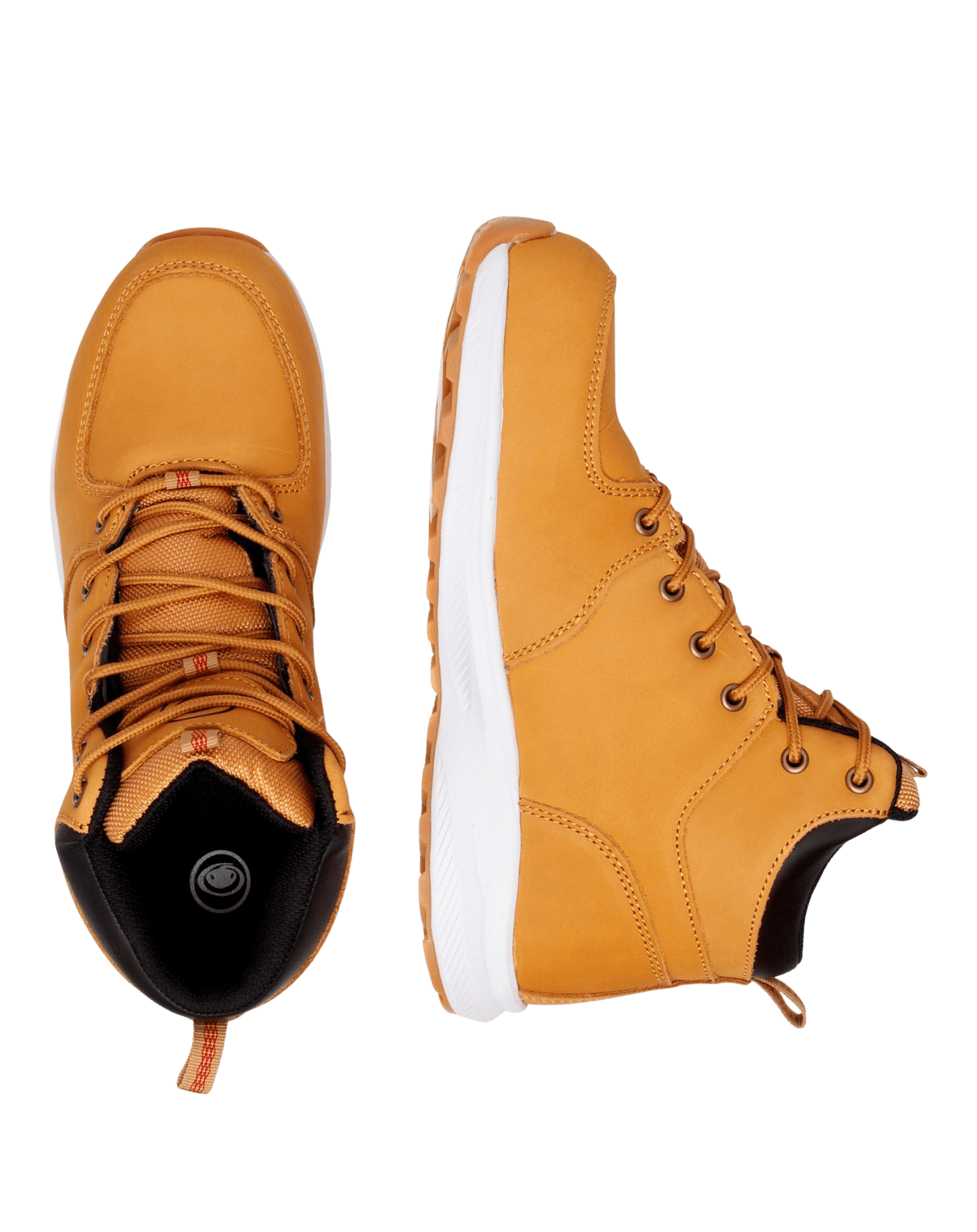 top view Python Legend Sand