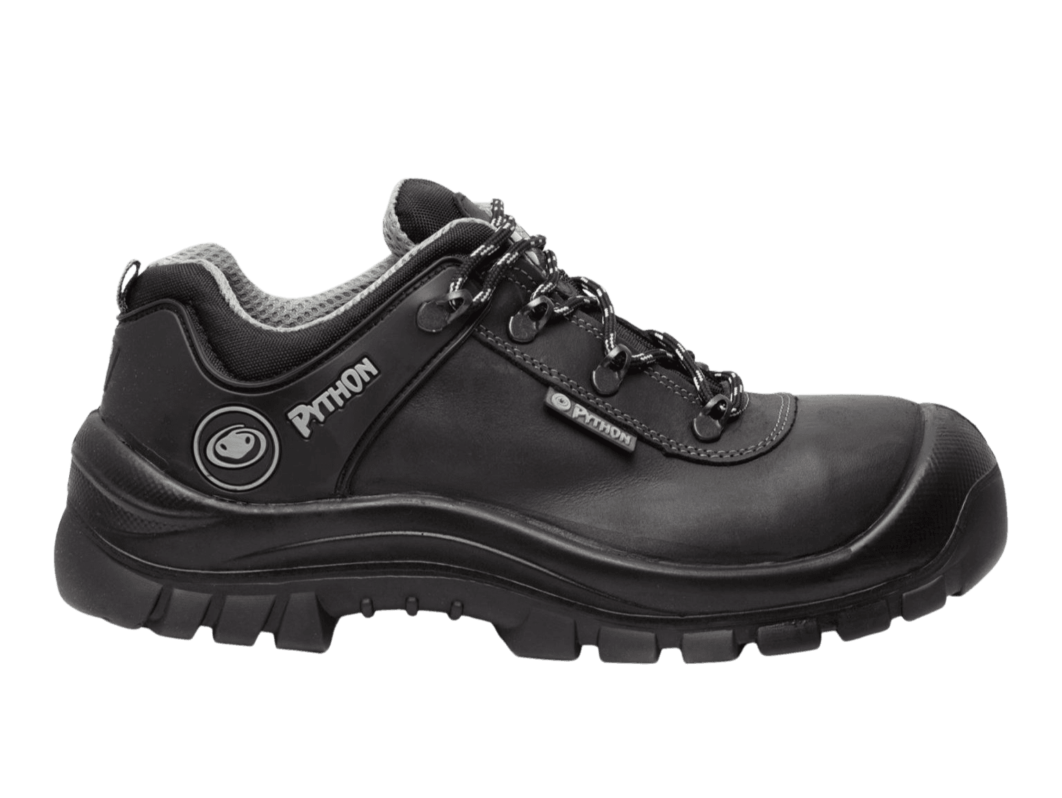 rechte Ansicht Python Toronto