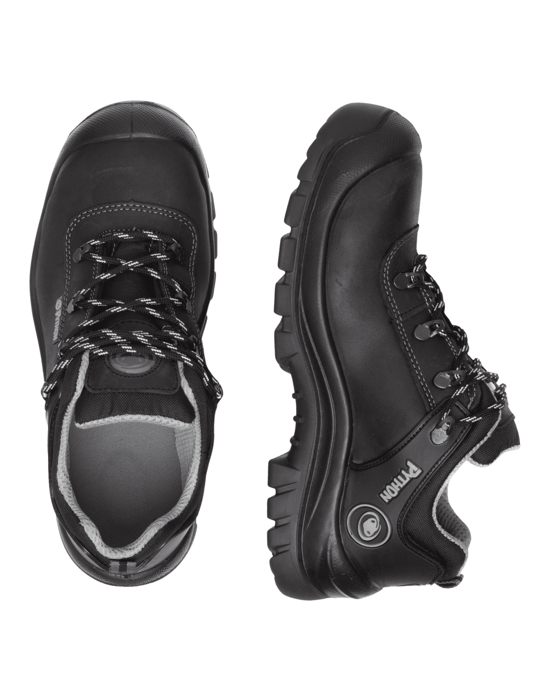 Obenansicht Python Toronto