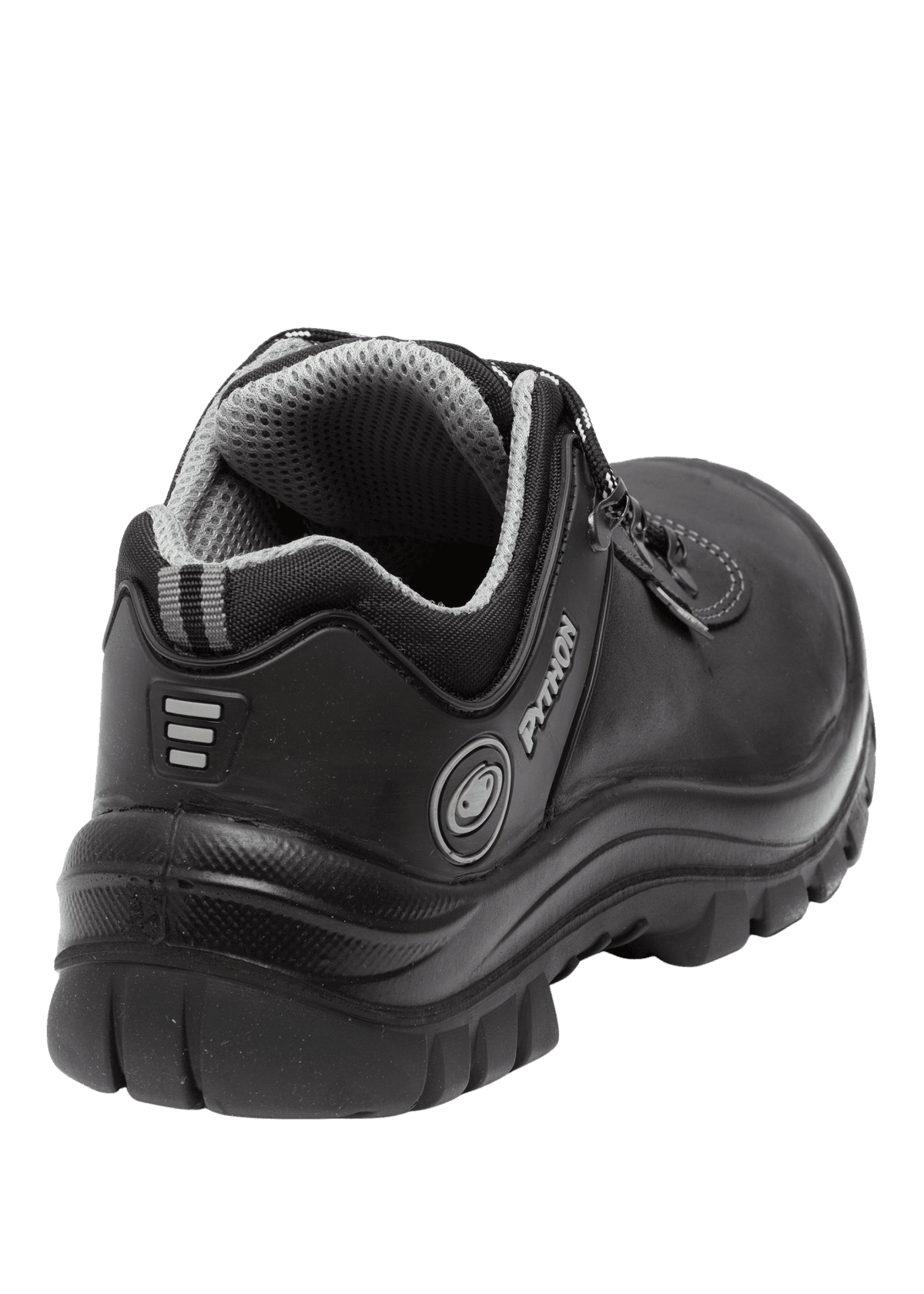 rechter achter aanzicht Python Toronto