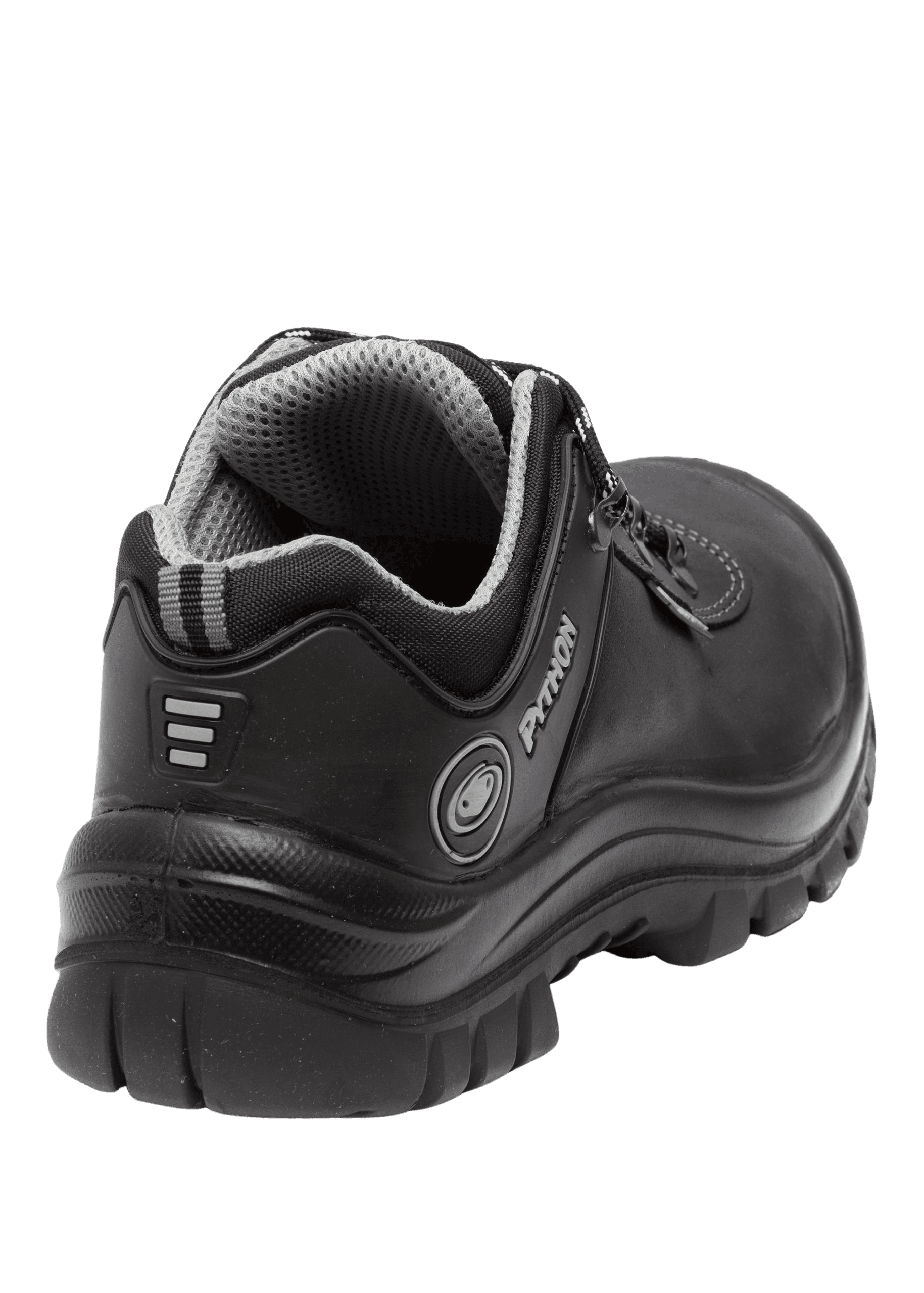 right rear view Python Toronto