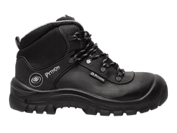 right view Python Vancouver