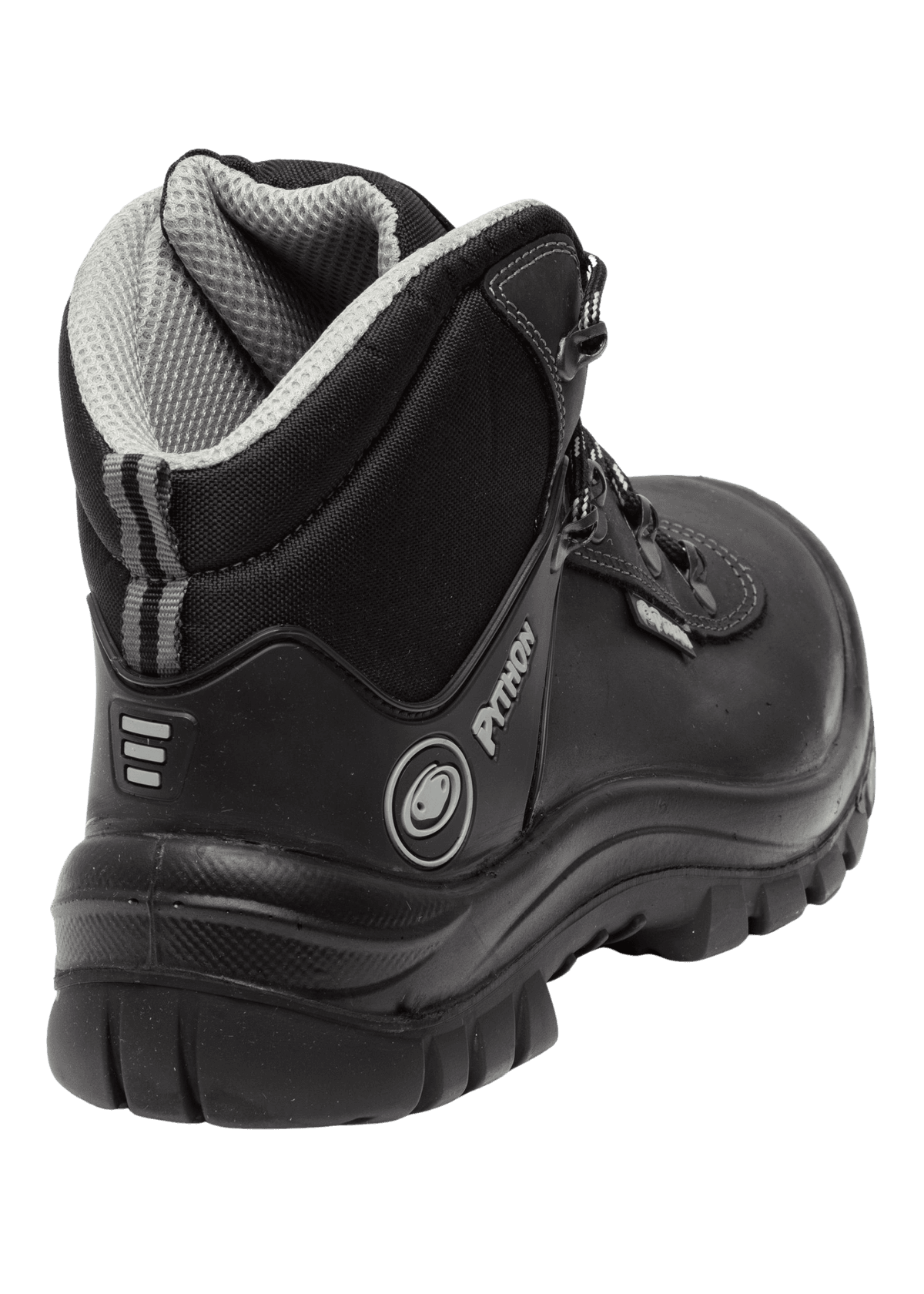 right rear view Python Vancouver